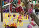 URBAN KNITS