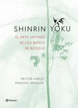SHINRIN YOKU, EL ARTE JAPONÉS DE LOS BAÑOS EN EL BOSQUE