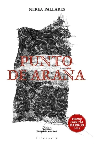PUNTO DE ARAÑA