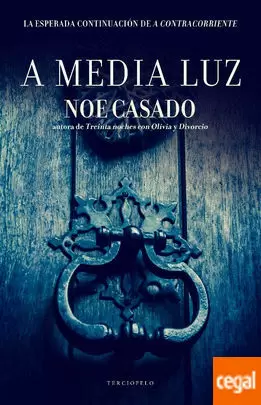 A MEDIA LUZ