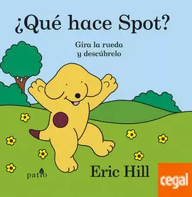 QUÉ HACE SPOT?