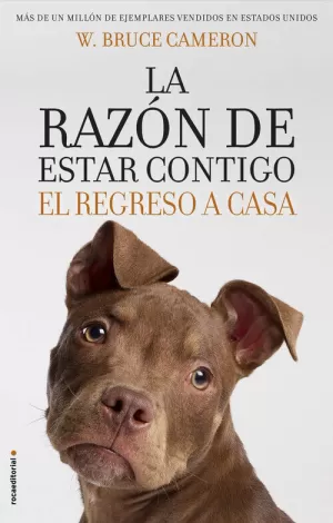 RAZÓN DE ESTAR CONTIGO, LA. EL REGRESO A CASA