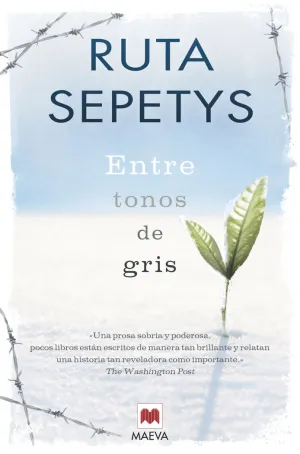 ENTRE TONOS DE GRIS