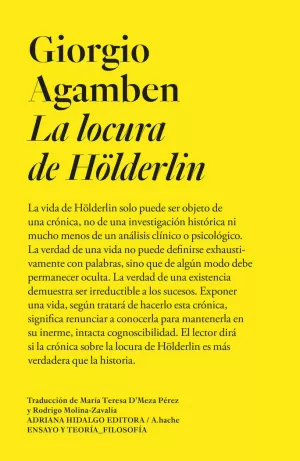 LOCURA DE HÖLDERLIN, LA