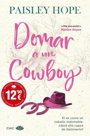 DOMAR A UN COWBOY