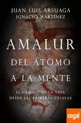 AMALUR. DEL ÁTOMO A LA MENTE