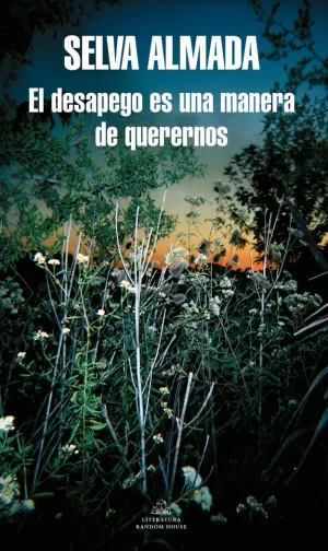 EL DESAPEGO ES UNA MANERA DE QUERERNOS