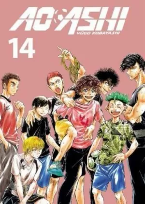 AO ASHI 14
