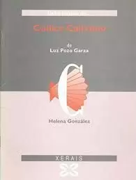 CÓDICE CALIXTINO DE LUZ POZO GARZA