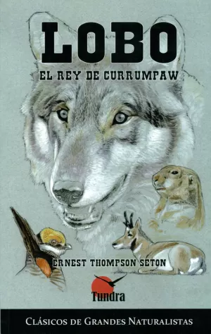 LOBO, EL REY DE CURRUMPAW
