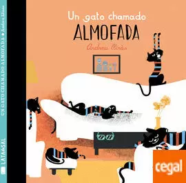 UN GATO CHAMADO ALMOFADA