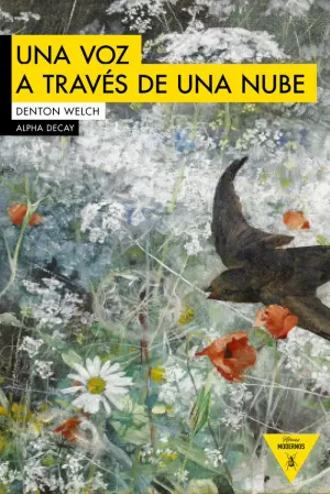 UNA VOZ A TRAVES DE UNA NUBE