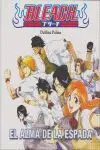 BLEACH
