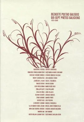 DEZASETE POETAS GALEGOS