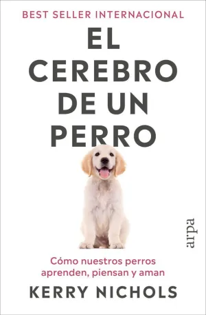 EL CEREBRO DE UN PERRO